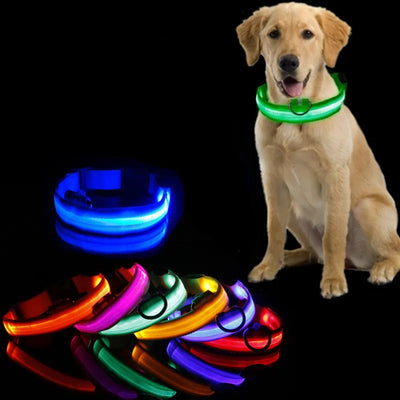 Led Dog Color Light For Dogs Puppies - PurfectShop: Pet Homes, Accessories, Feeders, and Pet Toys